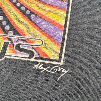 00s TOOL バンドT alex gray アレックスグレイ 10000days Tシャツ ツール 黒 2603-0268