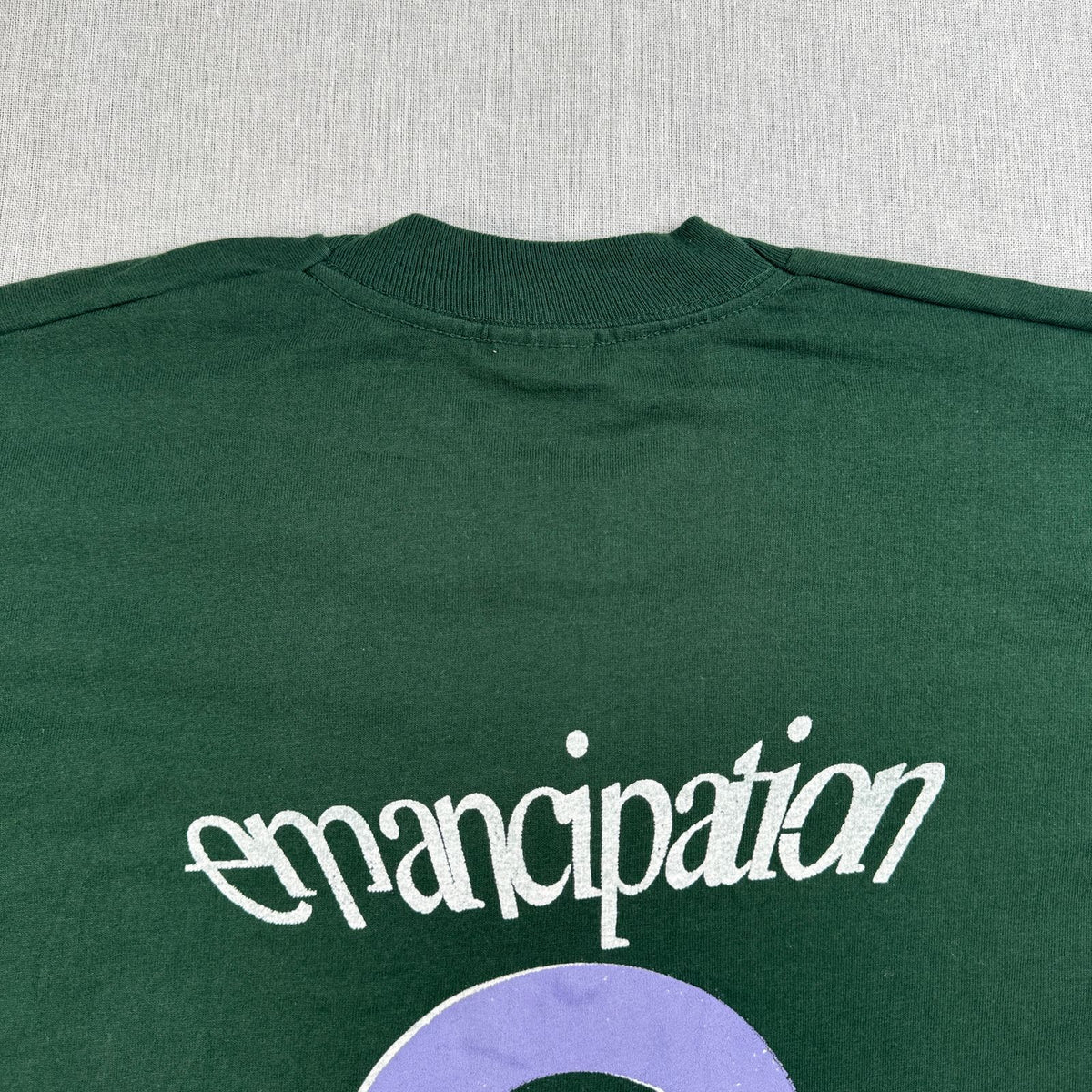 90s PRINCE プリンス Emancipation Tシャツ バンドT XL 緑 グリーン フルーツオブザルーム シングルステッチ 2603-0276