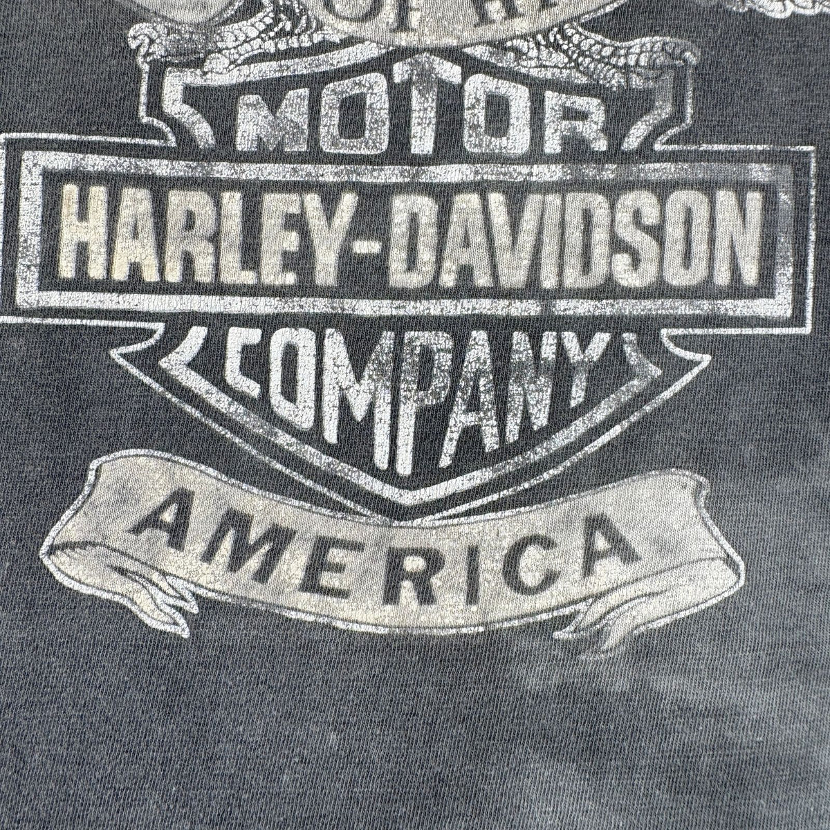 90s ハーレーダビッドソン バイク harley 85周年 Tシャツ フェード シングルステッチ 2603-0309