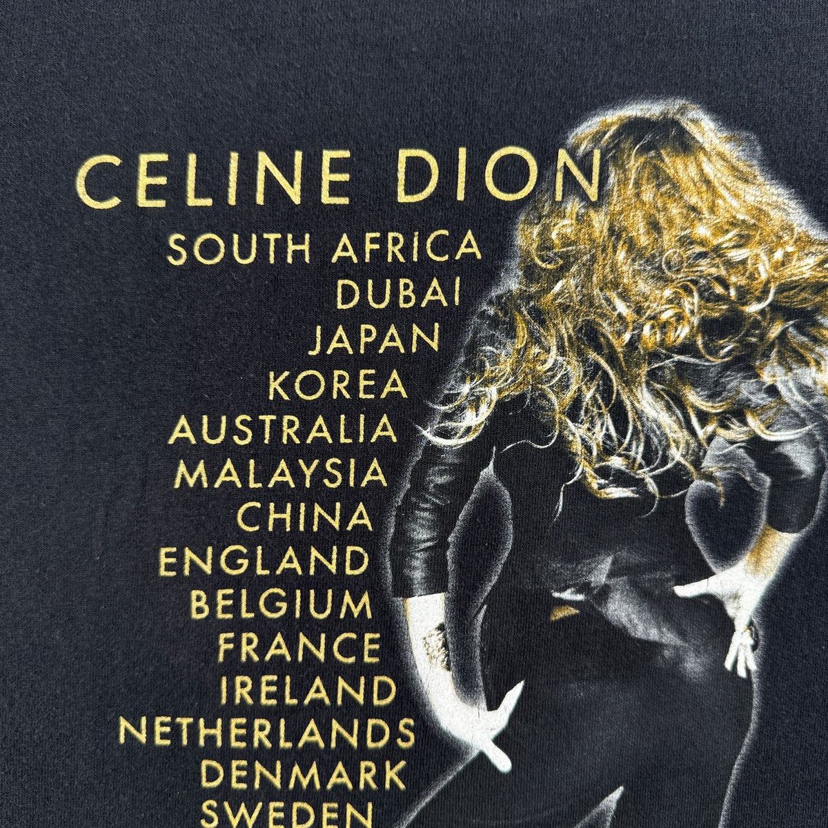 00s celine dion セリーヌ ディオン ツアー Tシャツ L ミュージック 音楽 anvil 黒 L 2603-0314