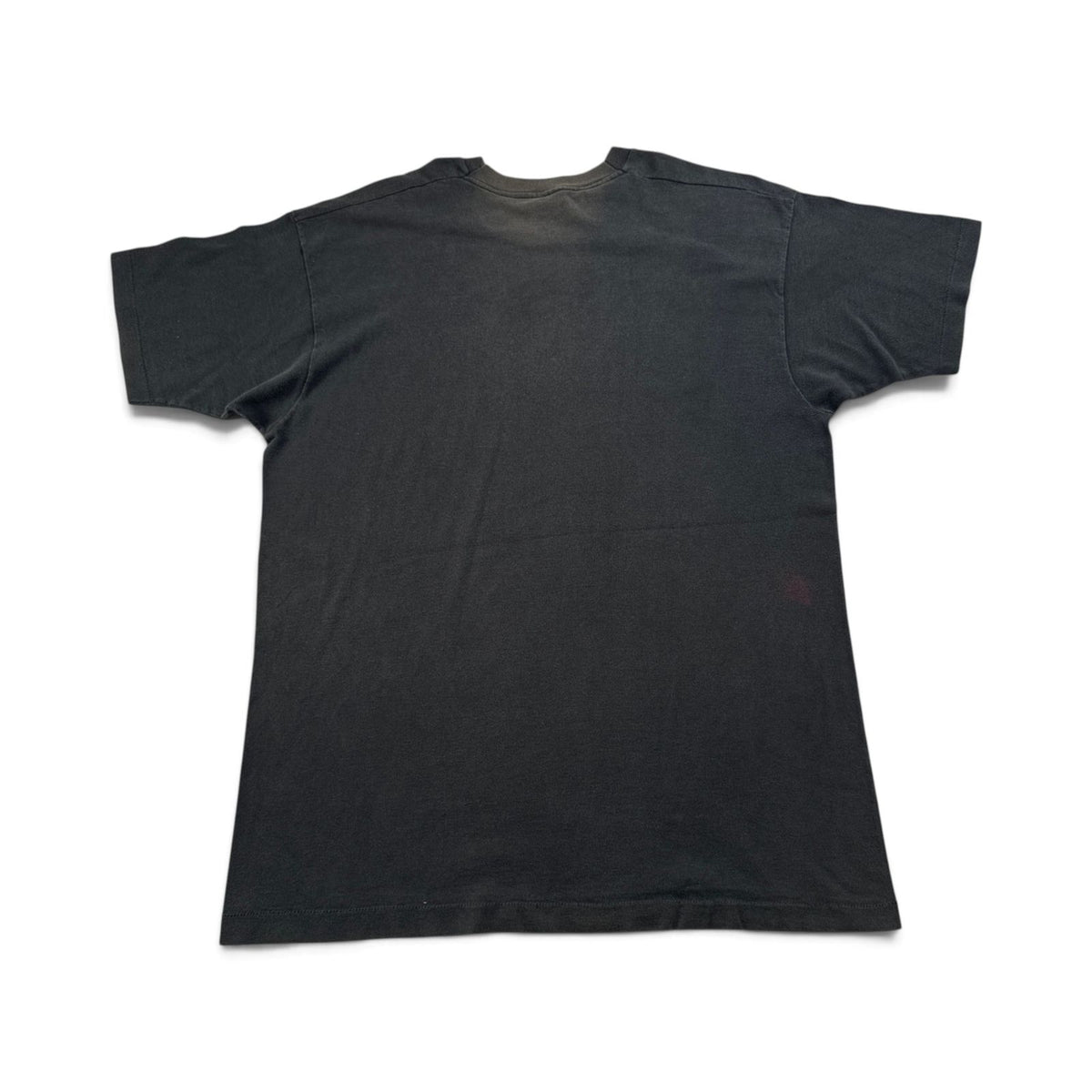 90s キング牧師 偉人 Tシャツ USA製 黒 Martin Martin Luther King フェード フルーツオブザルーム シングルステッチ XL 2604-0125