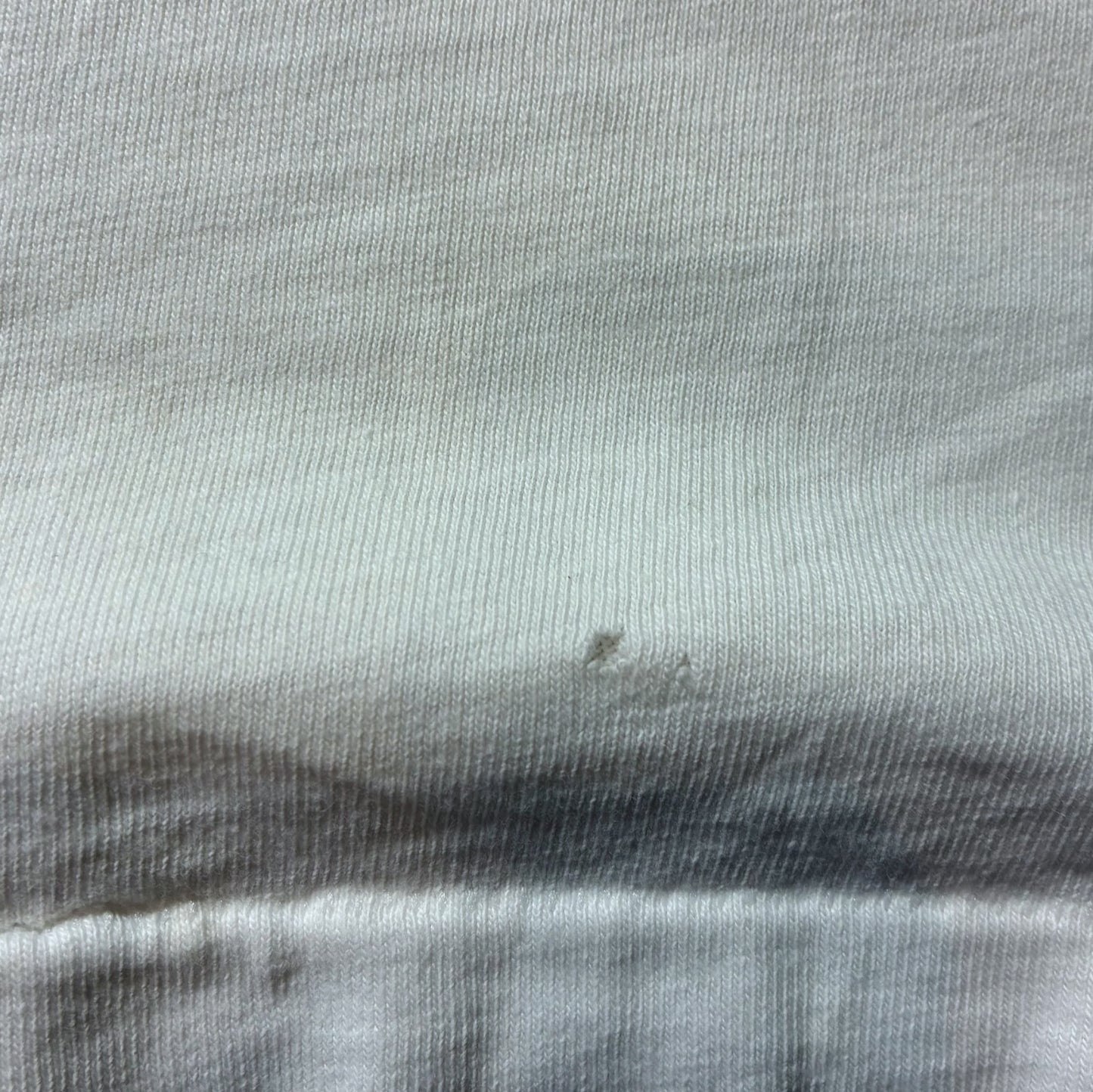 80s フラワーT セントポーリア Texas Bluebonnets Hanes USA製 ホワイト 2XL a-u-2505-057