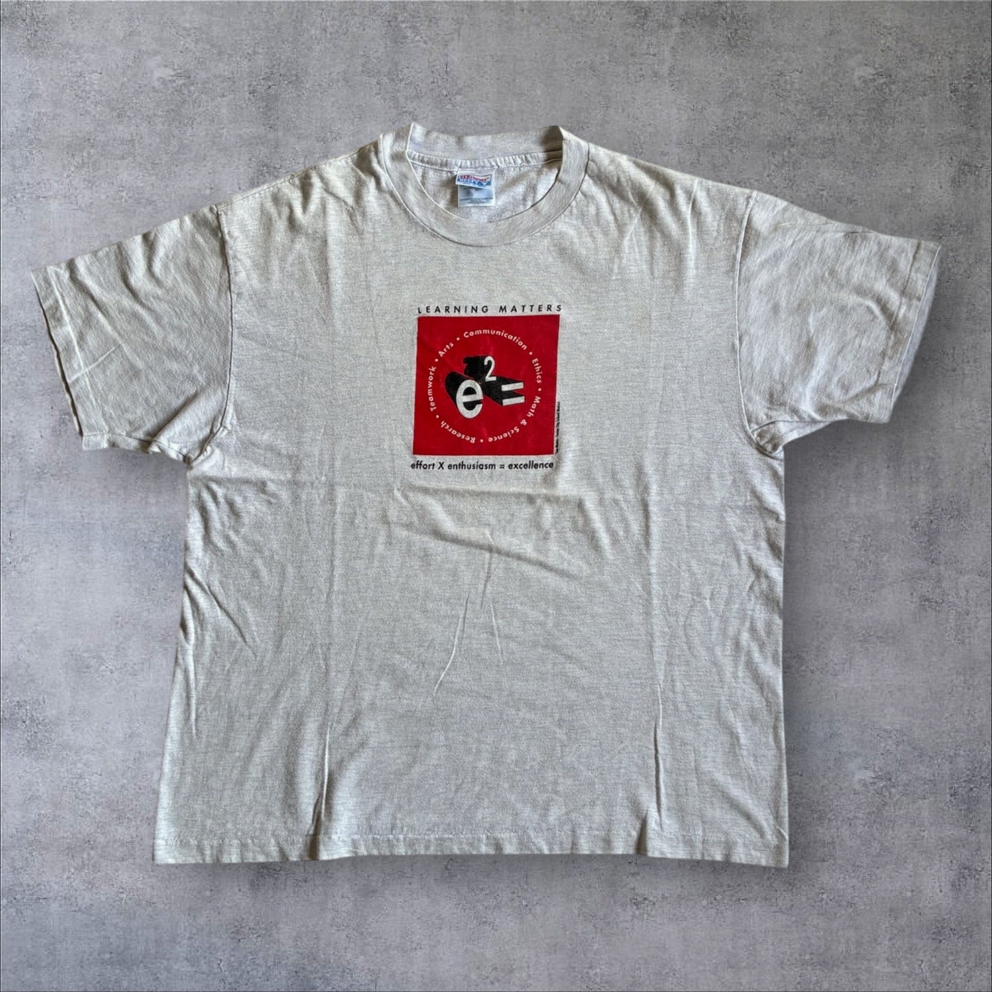 90s e2= 教育系プロモT アインシュタイン Hanes XL グレー a-u-2505-008