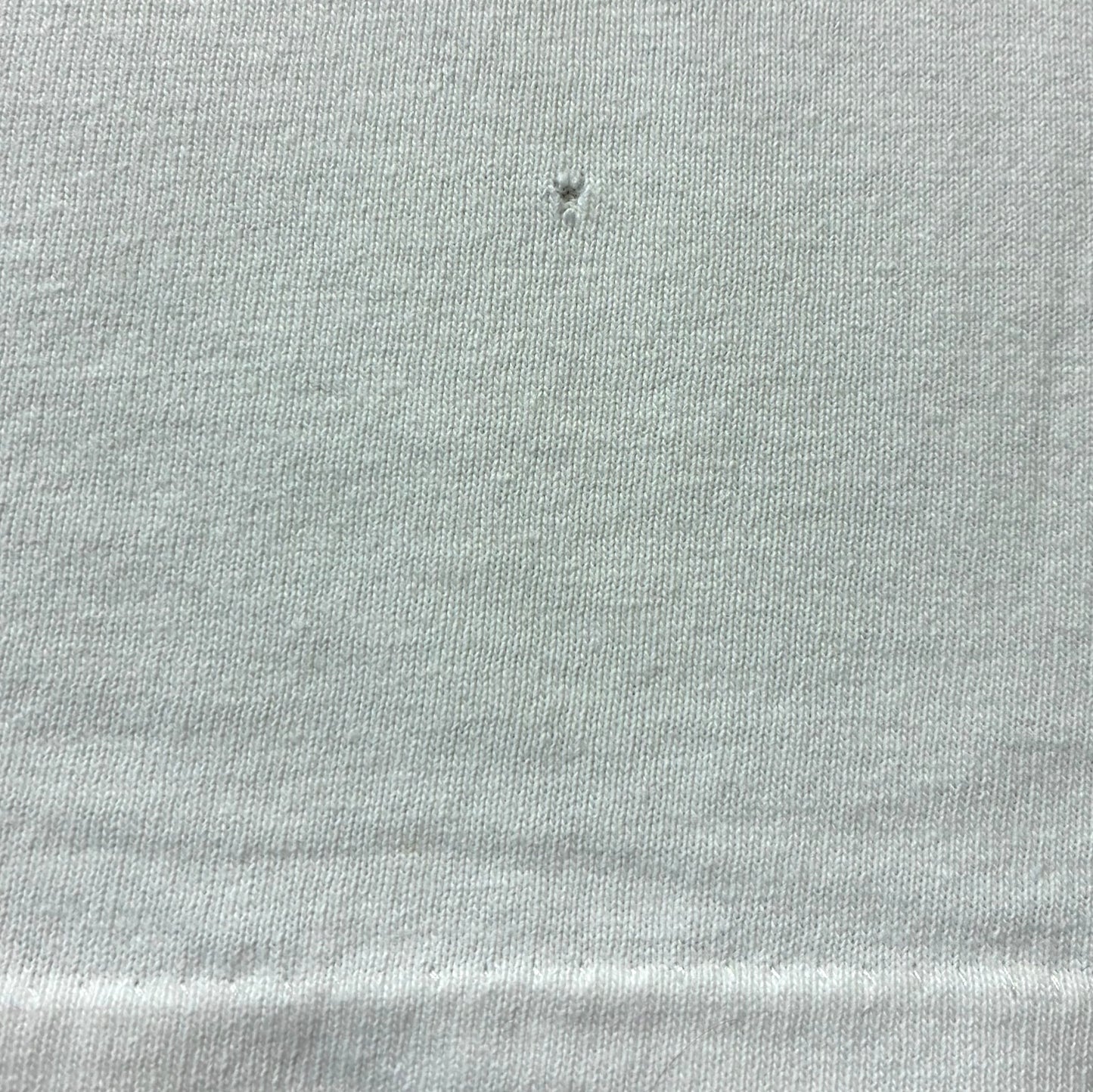 90s The Nature Company ボタニカル 植物 蝶 anvil USA製 ホワイト L a-u-2505-064