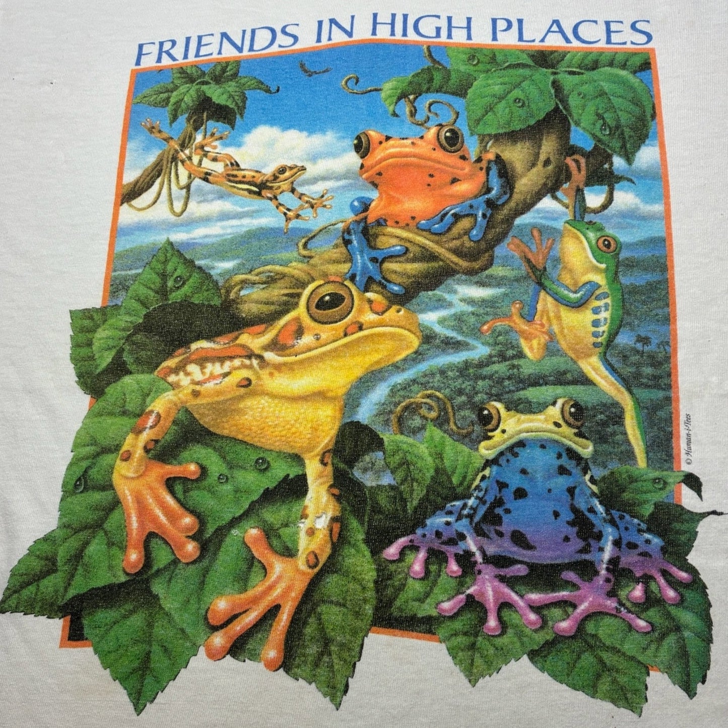 90s human i tee カエル アニマルT anvil USA製 ホワイト M a-u-2505-050