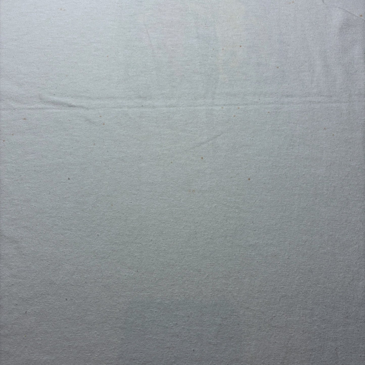 Keith Haring "Best Buddies" アートT ギルダン L ホワイト a-u-2505-055