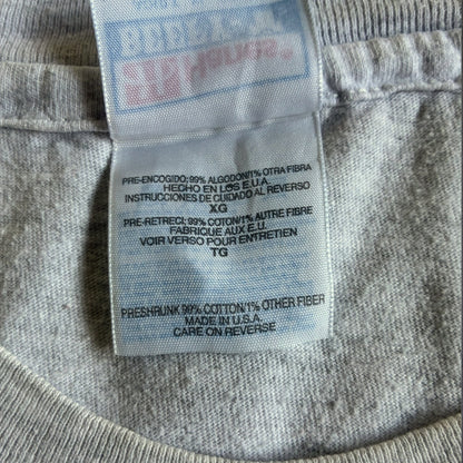 90s e2= 教育系プロモT アインシュタイン Hanes XL グレー a-u-2505-008