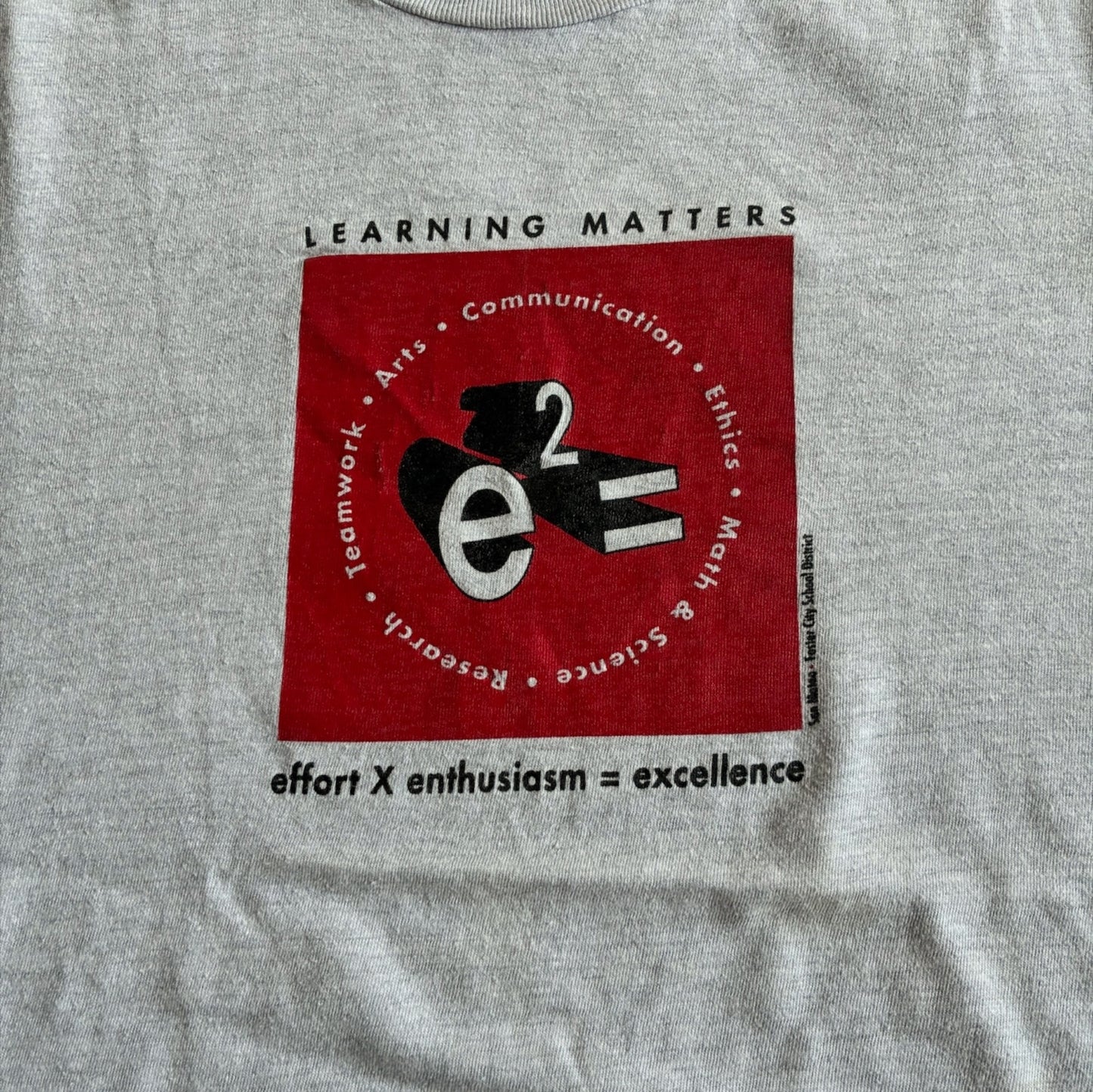 90s e2= 教育系プロモT アインシュタイン Hanes XL グレー a-u-2505-008