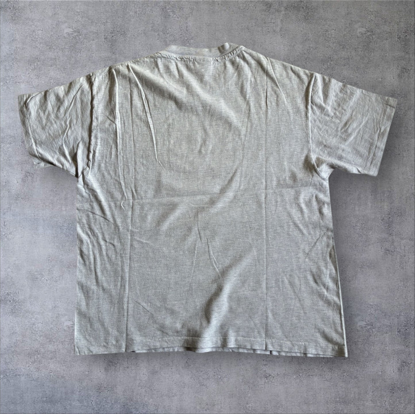 90s e2= 教育系プロモT アインシュタイン Hanes XL グレー a-u-2505-008