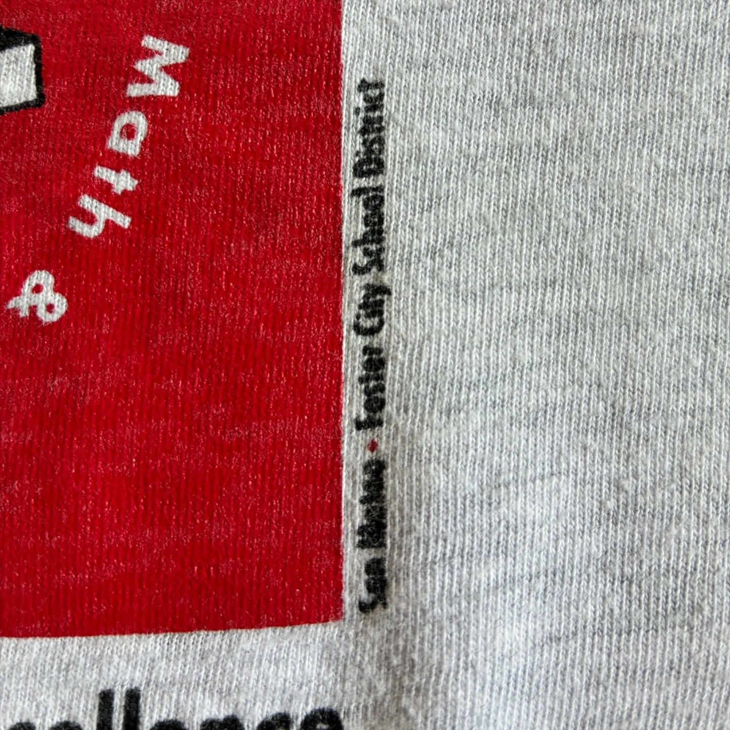 90s e2= 教育系プロモT アインシュタイン Hanes XL グレー a-u-2505-008