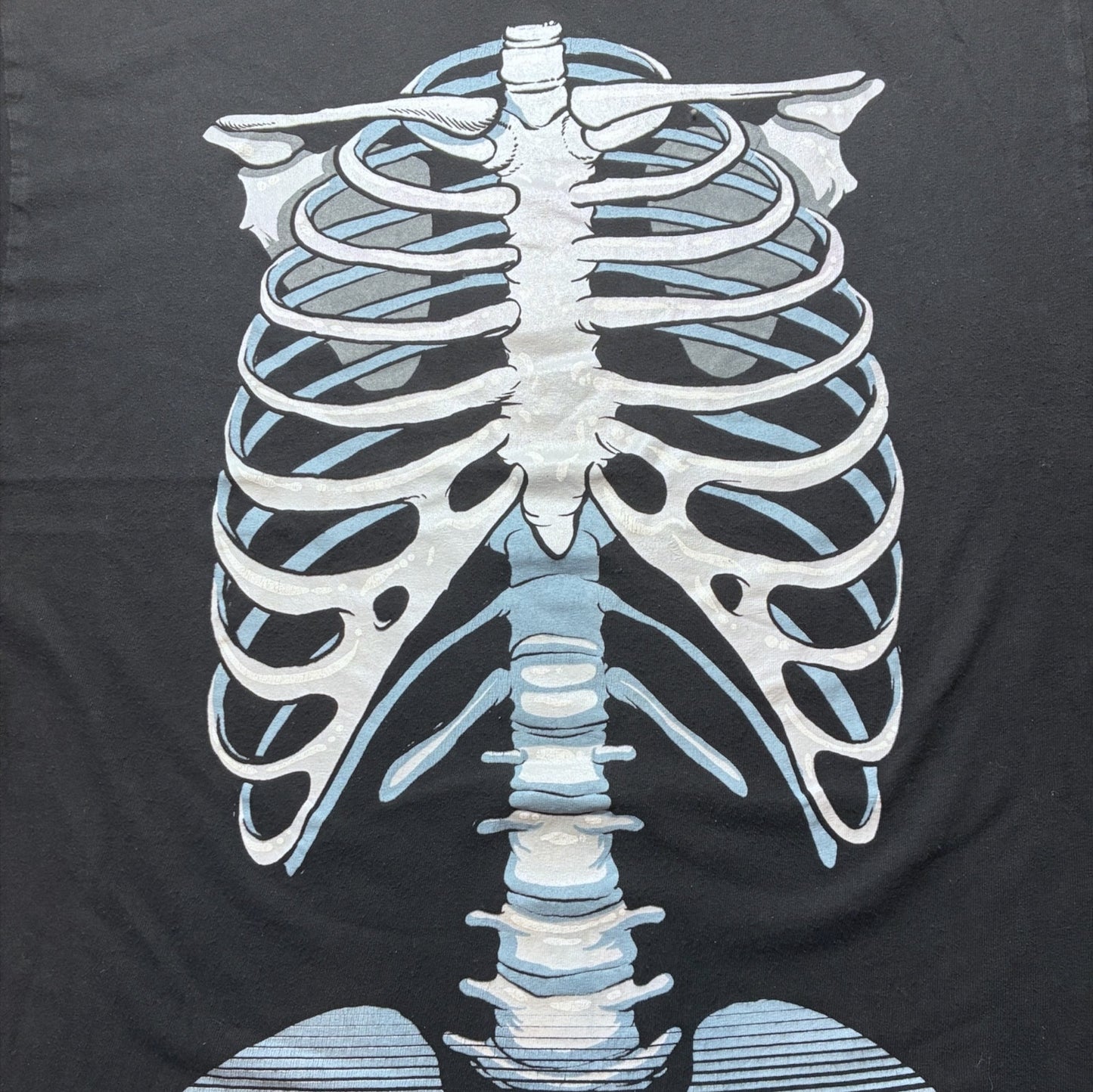 肋骨 スカル ボーン 黒 a-u-2505-037