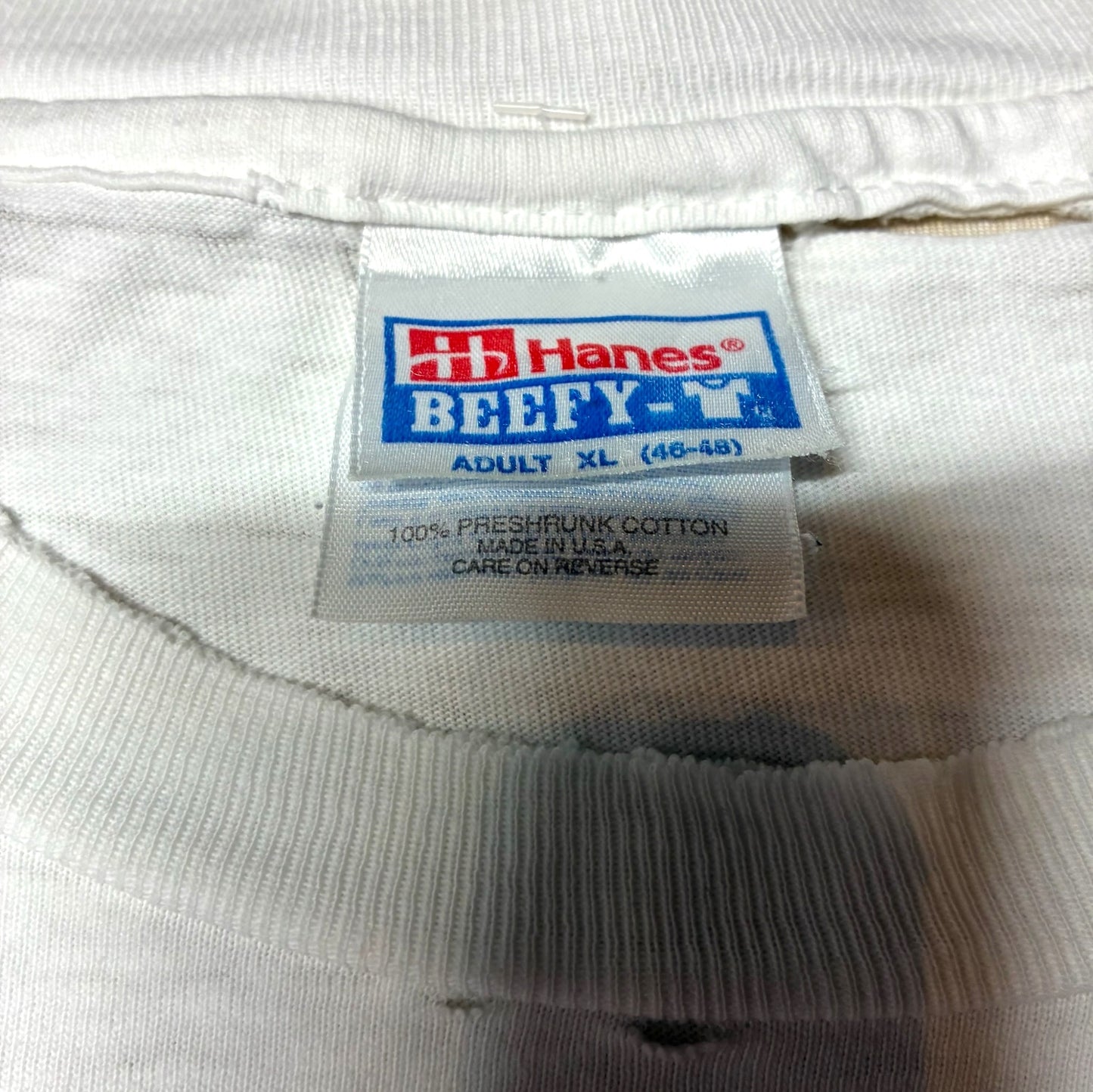 90s LEBERTY GRAPHICS Anne Kilham "maine" Hanes USA製 ホワイト XL a-u-2505-058