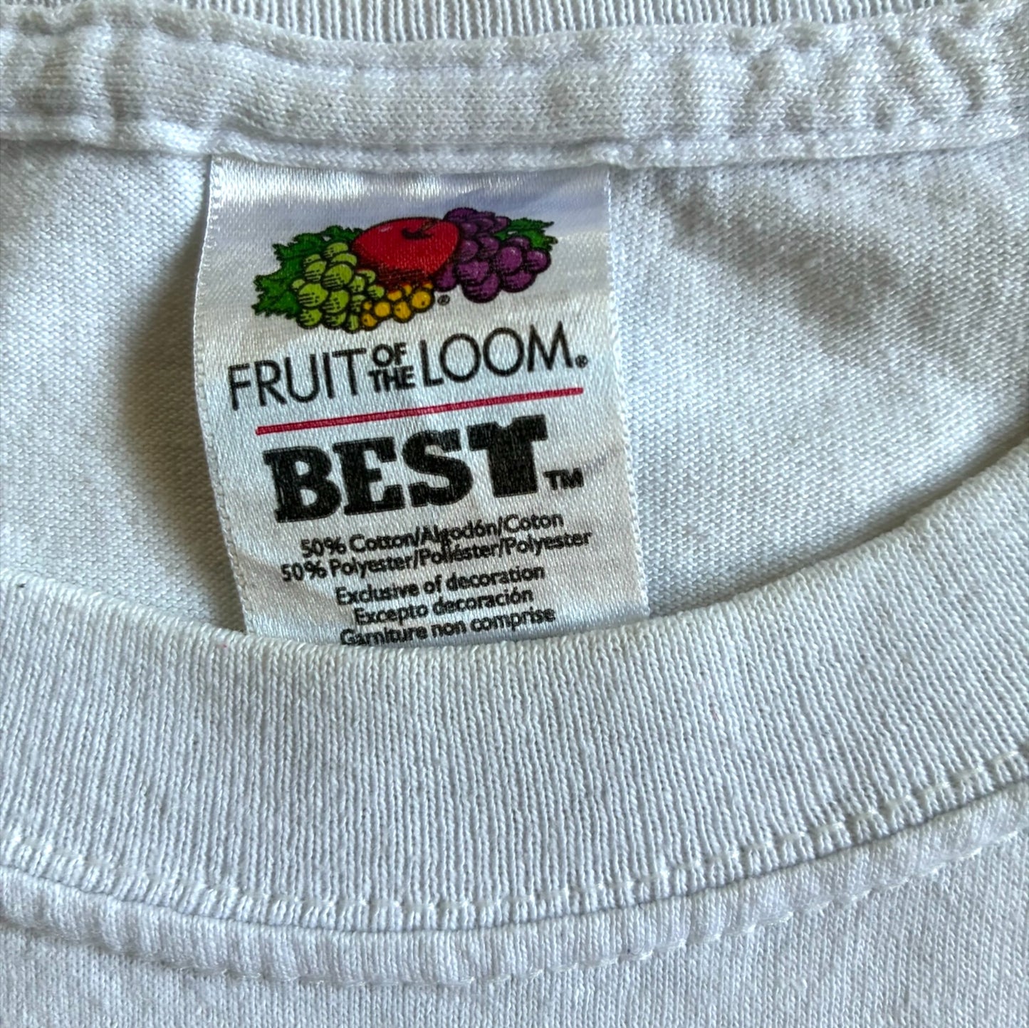 00s Great Reversals フォトT フルーツオブザルーム M a-u-2505-028