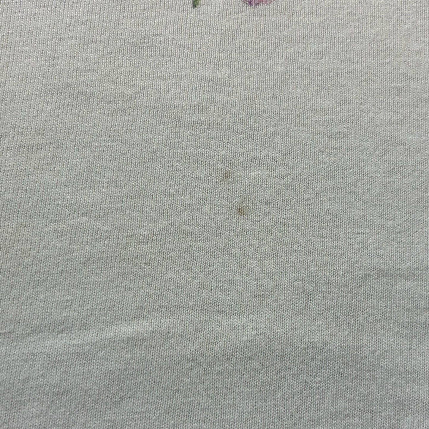 90s The Nature Company ボタニカル 植物 蝶 anvil USA製 ホワイト L a-u-2505-064