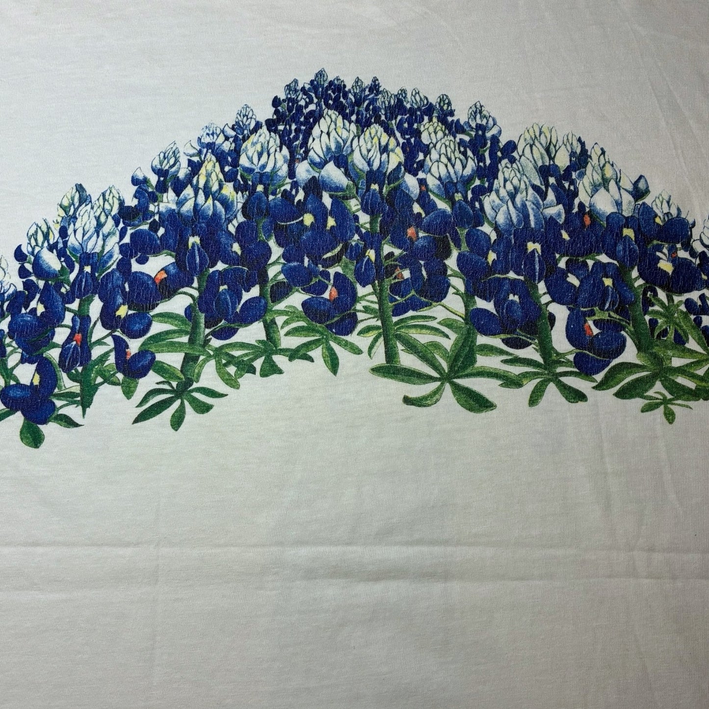 80s フラワーT セントポーリア Texas Bluebonnets Hanes USA製 ホワイト 2XL a-u-2505-057