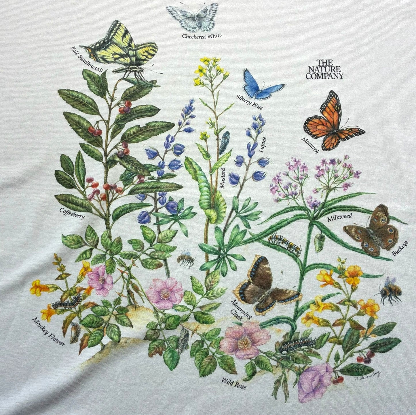 90s The Nature Company ボタニカル 植物 蝶 anvil USA製 ホワイト L a-u-2505-064