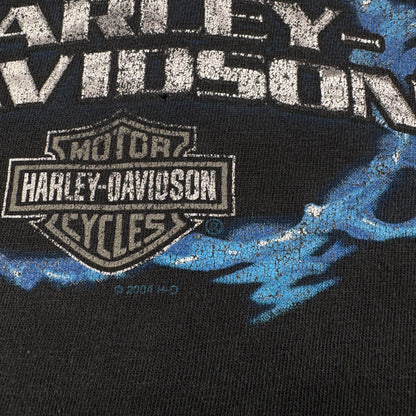 00s ハーレーダビッドソン Tシャツ 黒 炎 ROSWELL killer creek 2004 harley davidson XL co-t-2505-008
