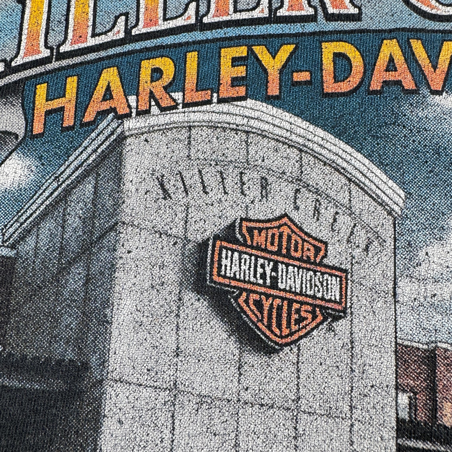 00s ハーレーダビッドソン Tシャツ 黒 炎 ROSWELL killer creek 2004 harley davidson XL co-t-2505-008