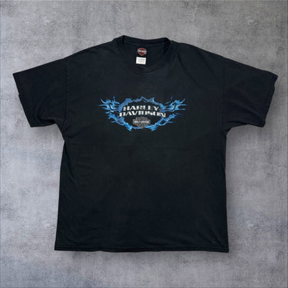 ハーレーダビッドソン 2004 イーグル蒼炎ファイアー ロズウェル ジョージア 黒 XL co-t-2505-008