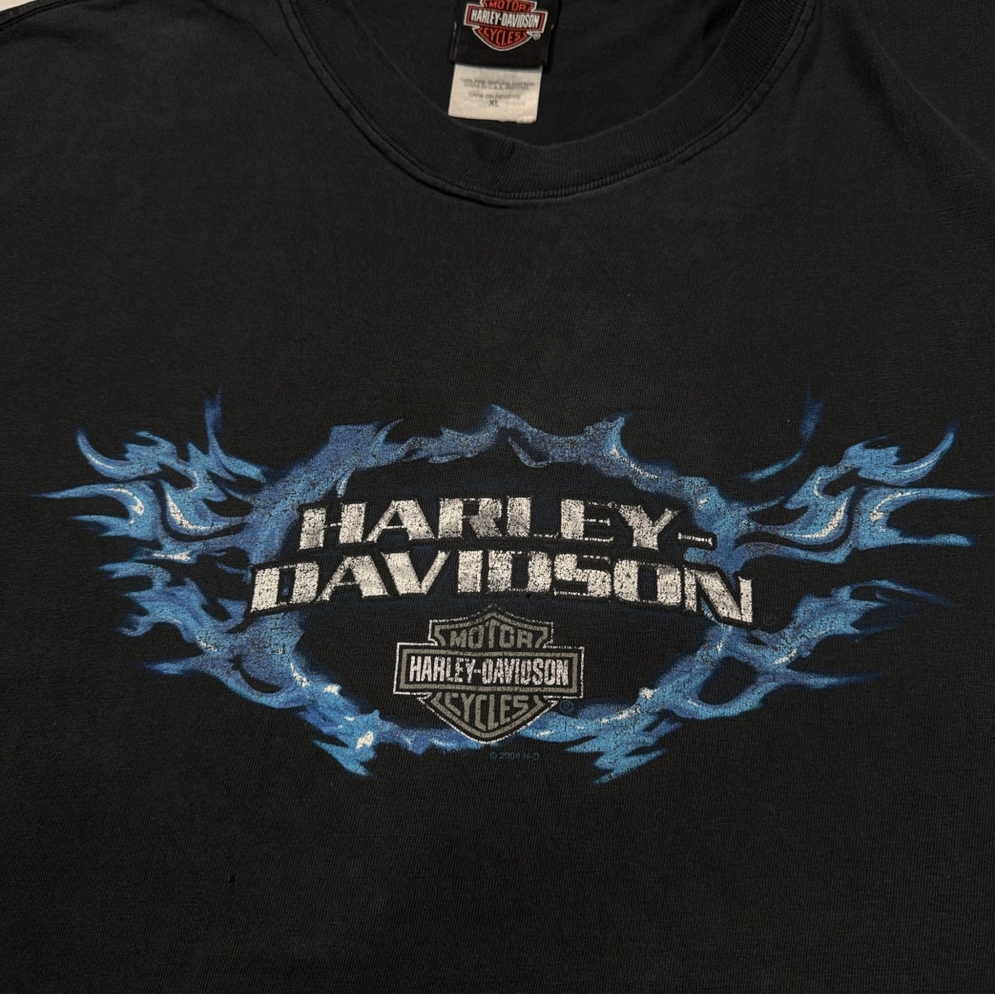 ハーレーダビッドソン 2004 イーグル蒼炎ファイアー ロズウェル ジョージア 黒 XL co-t-2505-008