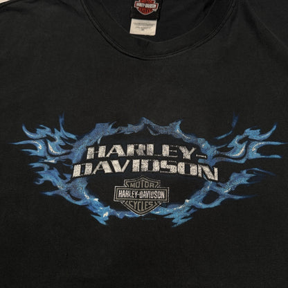 ハーレーダビッドソン 2004 イーグル蒼炎ファイアー ロズウェル ジョージア 黒 XL co-t-2505-008