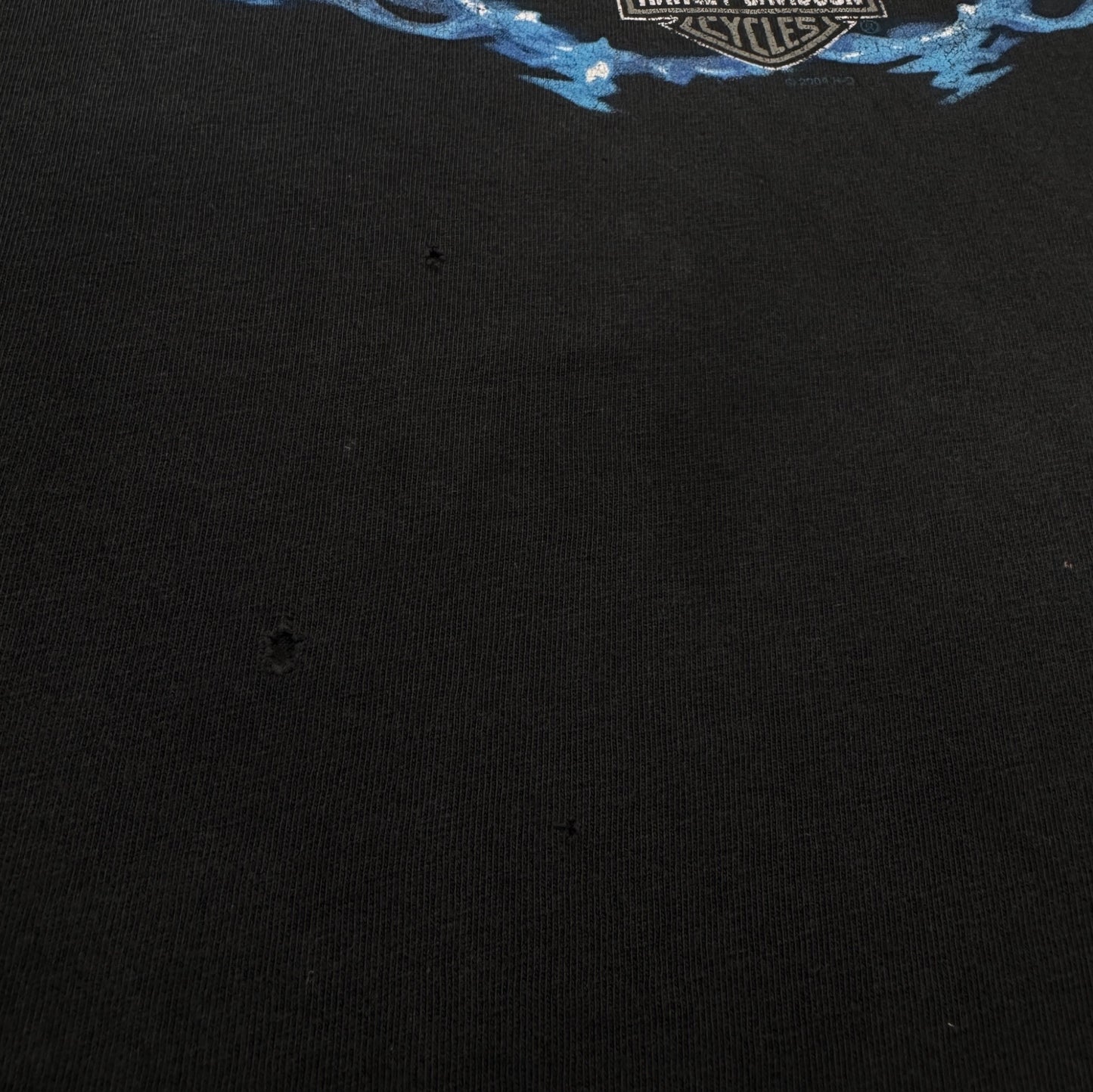 ハーレーダビッドソン 2004 イーグル蒼炎ファイアー ロズウェル ジョージア 黒 XL co-t-2505-008