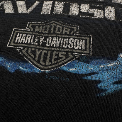 ハーレーダビッドソン 2004 イーグル蒼炎ファイアー ロズウェル ジョージア 黒 XL co-t-2505-008