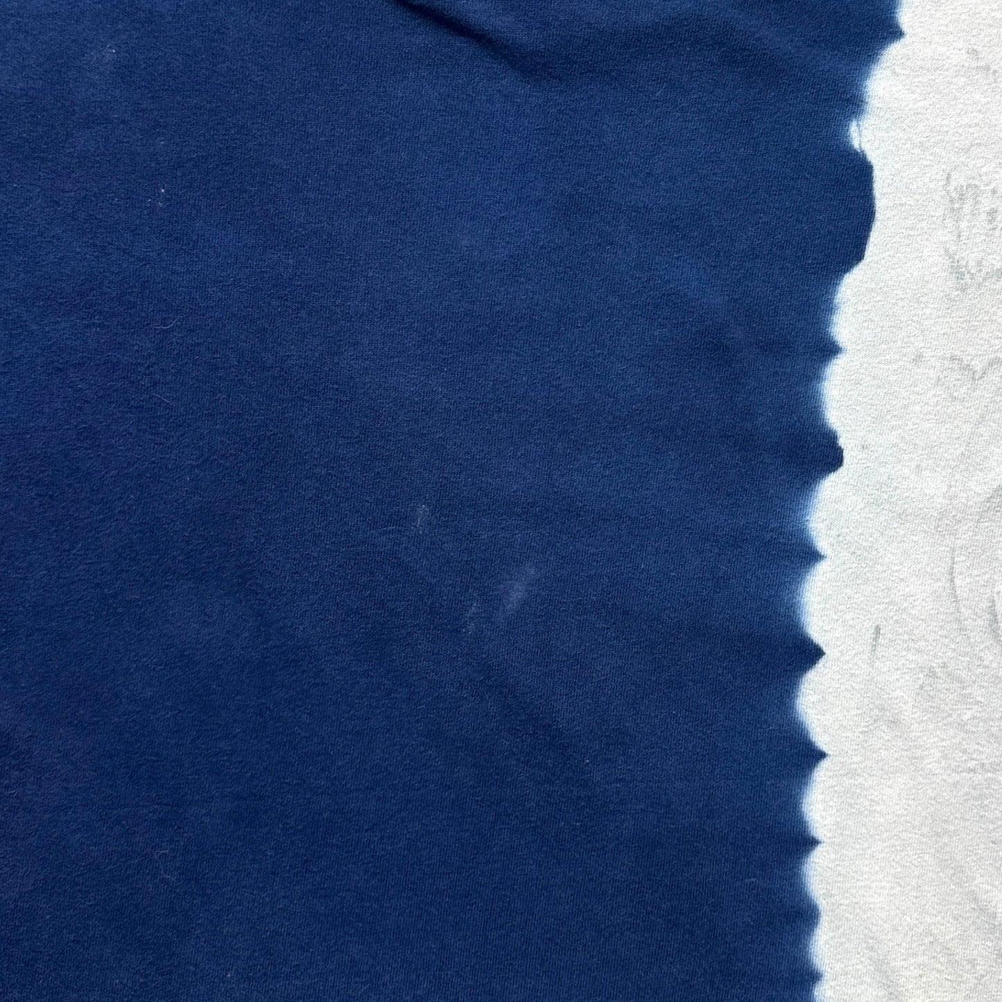 90s STAR WARS EPISODE1 anakin skywalker タイダイ L d-t-2505-010