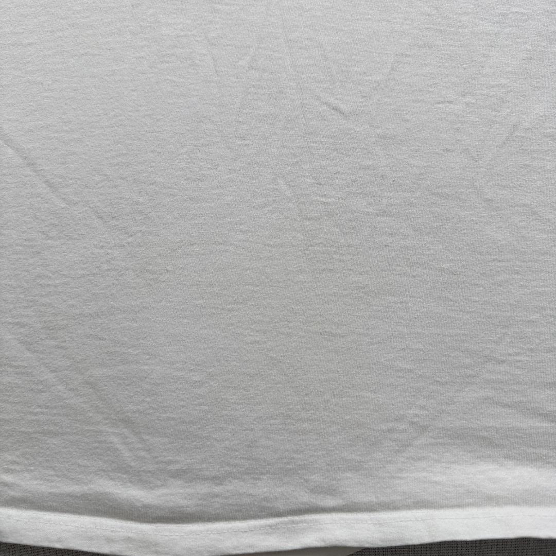 90s Tシャツ ミケランジェロ アートT pull my 白 a-u-2505-081