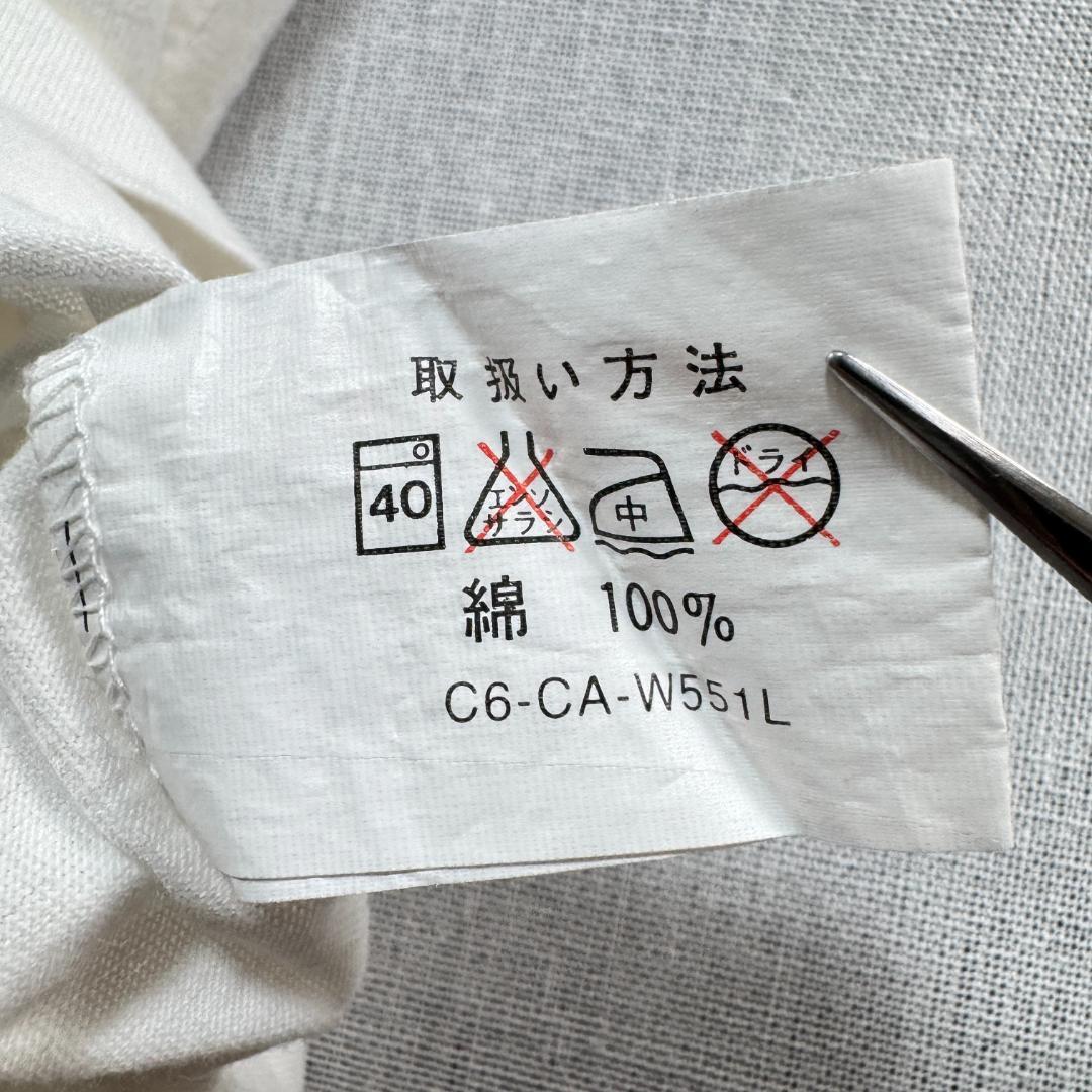 90s Tシャツ グスタフ クリムト アート 日本製 白 L a-t-2505-015