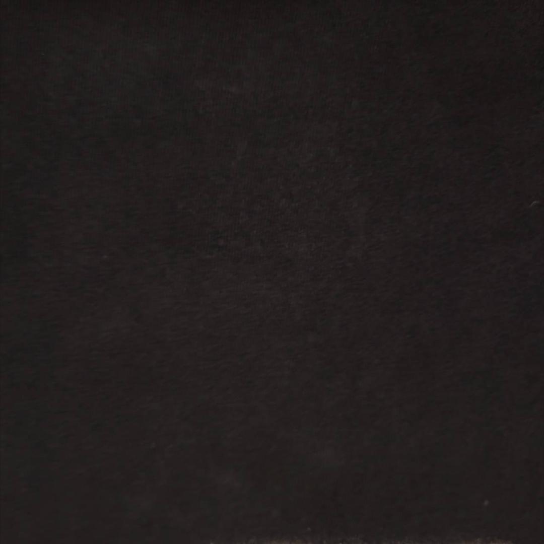 90s 狼 オオカミ ウルフ アート USA製 アニマルT a-000019