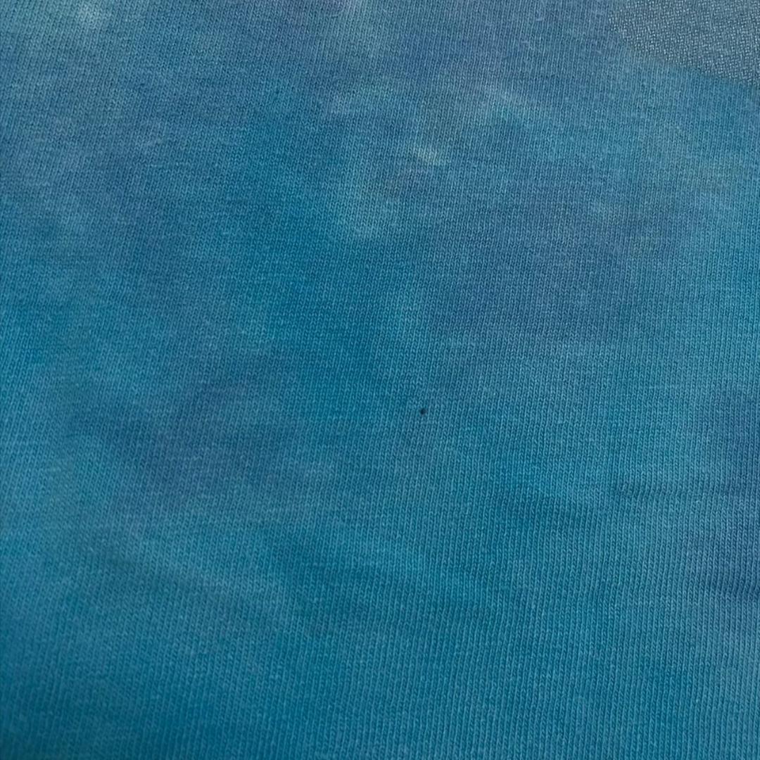 ディズニー スプラッシュマウンテン タイダイ Y2K d-000018