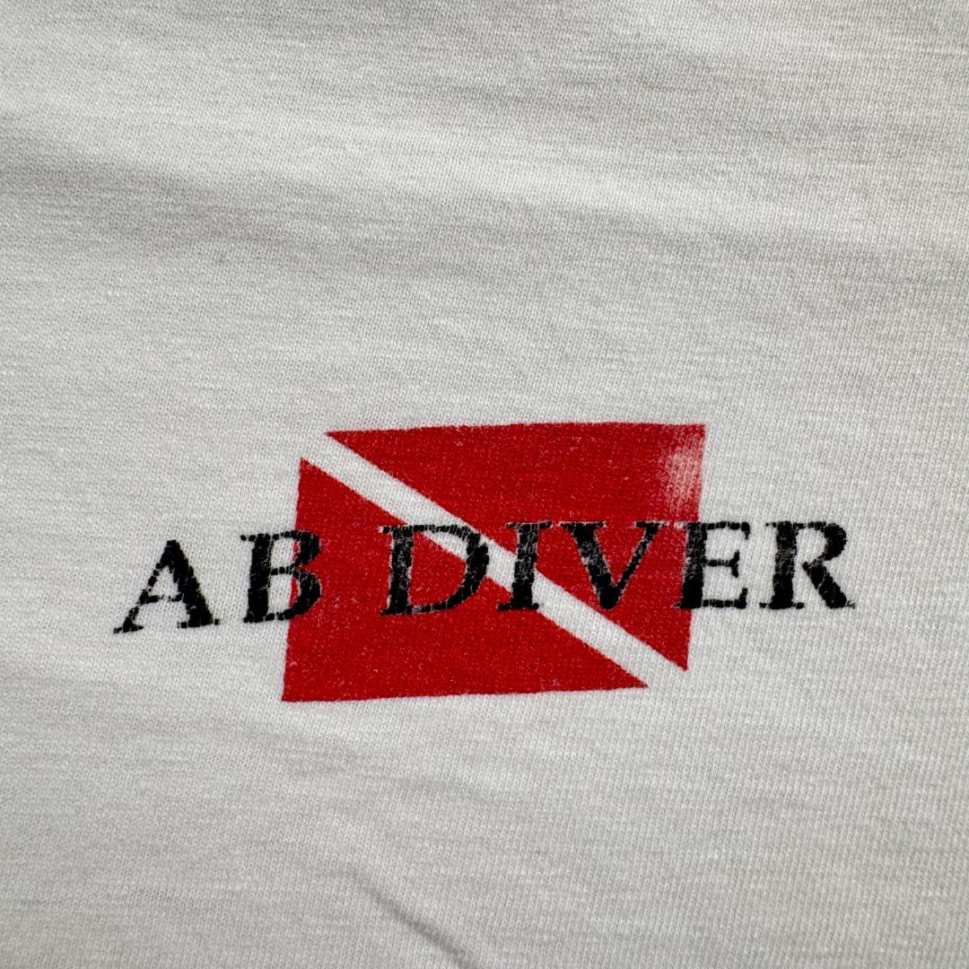 80s アートT Tシャツ サンタ カタリナ島 白 USA製 XL a-u-2505-020