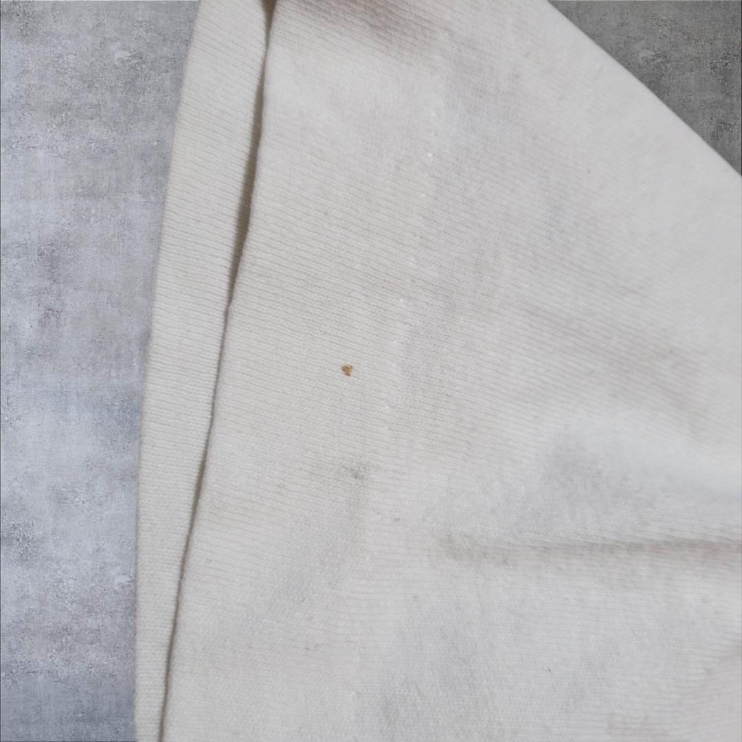 90s アート Dr.Seuss Sam I Am USA製 フルーツオブザルーム a-000047