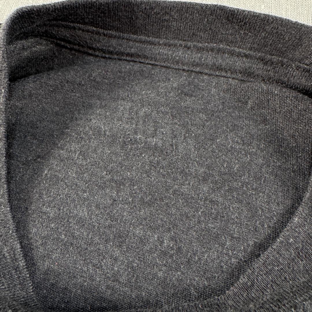 00s サブライム SUBLIME Tシャツ ロングビーチ グレー ba-000046