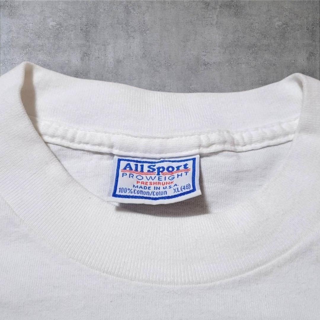 90s ハワイ スーベニア USA製 Tシャツ アートT サーフ イルカ XL a-000017