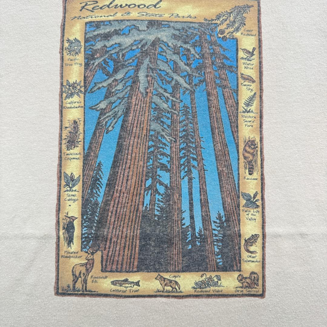 redwood Tシャツ ブラウン ベージュ 木 森 動物 アニマル a-u-2505-049