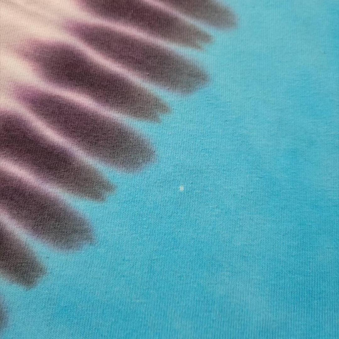 Aerosmith エアロスミス ディズニー タイダイ ba-000020