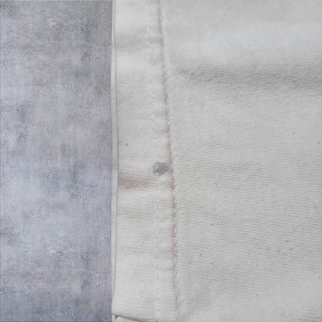 アートT ピカソ pablo picasso 花束を持つ手 a-000045