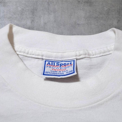 90s アートT USA製 ハワイ イルカ サーフィン 海 a-000017