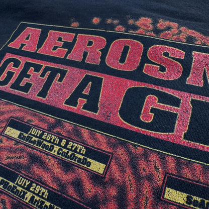 90s エアロスミス 1993 GET A GRIP SKULL ビンテージ T ba-t-2505-038