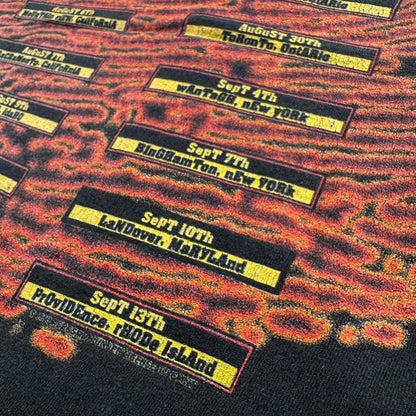 90s エアロスミス 1993 GET A GRIP SKULL ビンテージ T ba-t-2505-038