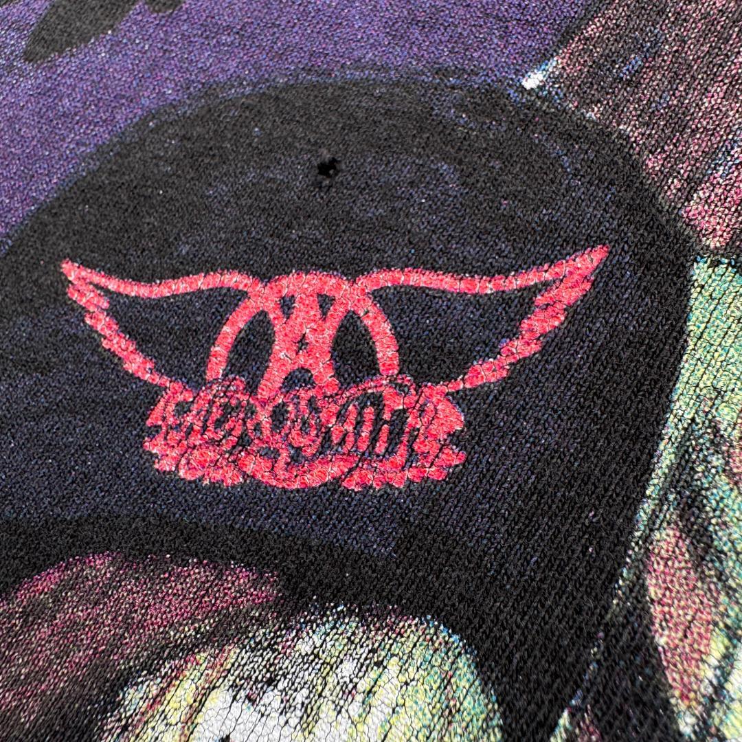 90s エアロスミス 1993 GET A GRIP SKULL ビンテージ T ba-t-2505-038