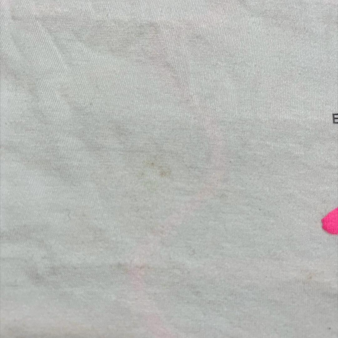 80s USA製 Hanes 白 Lサイズ スキー 企業 co-000038