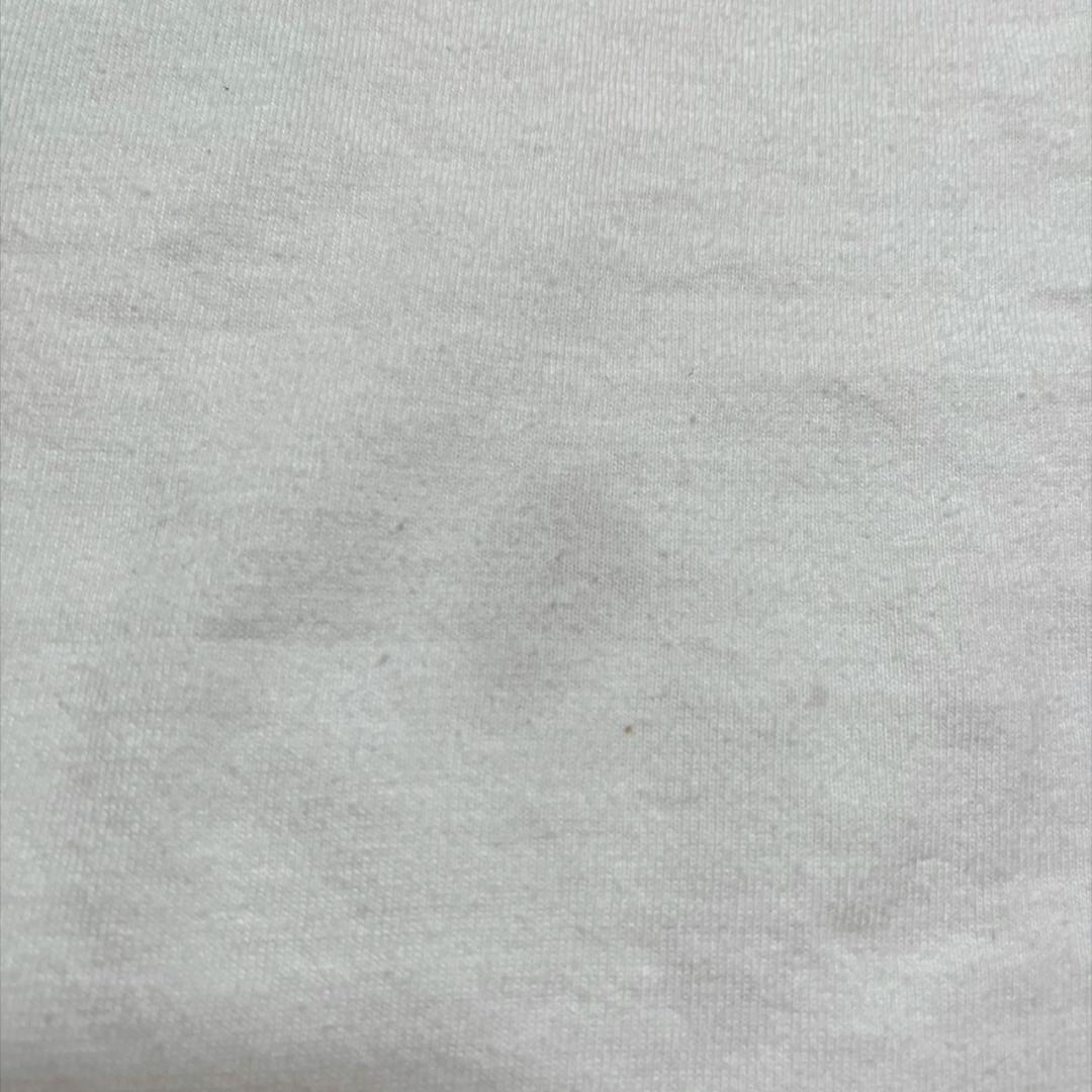 80s USA製 Hanes 白 Lサイズ スキー 企業 co-000038