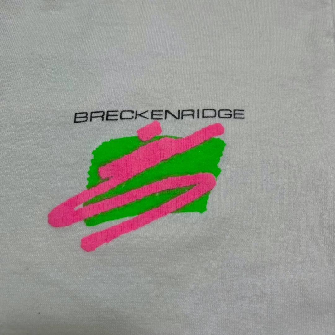 80s USA製 Hanes 白 Lサイズ スキー 企業 co-000038