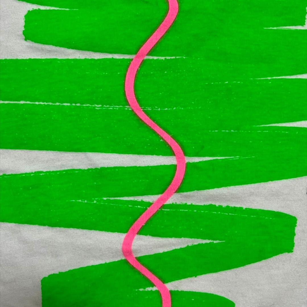 80s USA製 Hanes 白 Lサイズ スキー 企業 co-000038