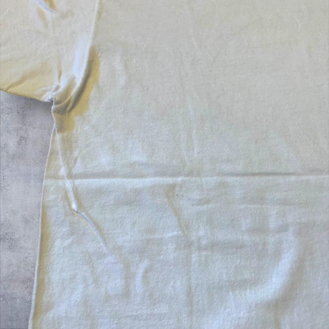 90s 恐竜 映画 DINOTOPIA ディノトピア L m-000004