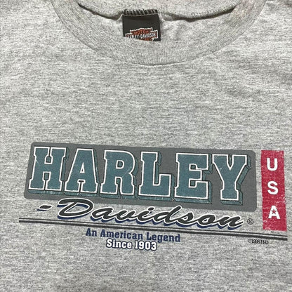 ハーレーダビッドソン  グレー ノースリーブ USA製 XL co-u-2505-028