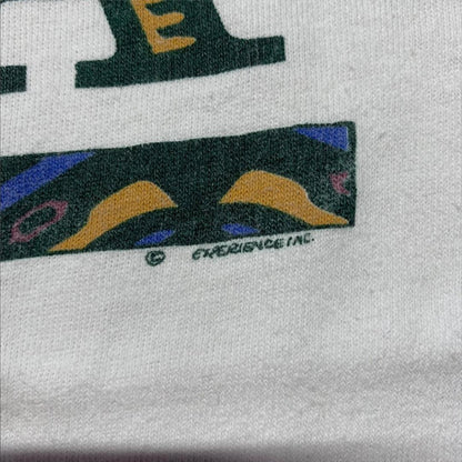 90s USA製 アラスカ インディアン シングルステッチ o-000026